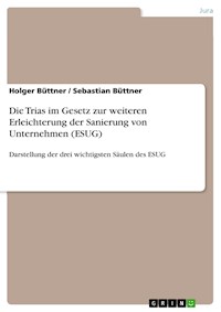 Die Trias im Gesetz zur weiteren Erleichterung der Sanierung von Unternehmen (ESUG) - Holger Büttner - E-Book