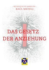 Das Gesetz Der Anziehung - Raúl Micieli - E-Book
