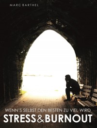 Stress und Burnout - Marc Barthel - E-Book
