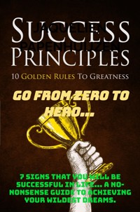 How to be successful from nothing. Go from zero to hero... - Jaquelien Papenhuijzen - E-Book
