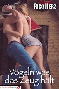 Vögeln was das Zeug hält - Rico Herz - E-Book