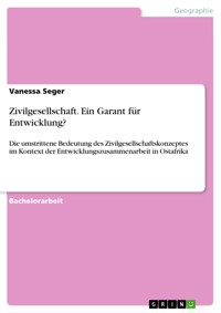 Zivilgesellschaft. Ein Garant für Entwicklung? - Vanessa Seger - E-Book