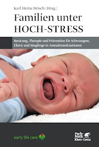 Familien unter Hoch-Stress -  - E-Book