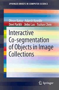 Interactive Co-segmentation of Objects in Image Collections - Dhruv Batra - E-Book