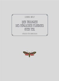 Der Trilogien des möglichen Plunders 6ter Teil - Ludwig Wolf - E-Book