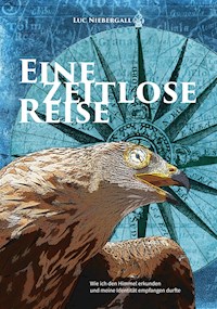 Eine zeitlose Reise - Luc Niebergall - E-Book