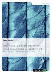 Schiefer und Dachplatten behauen und lochen (Unterweisung Dachdecker / -in) - René Seelig - E-Book