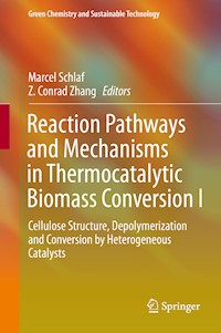 Reaction Pathways and Mechanisms in Thermocatalytic Biomass Conversion I - - E-Book
