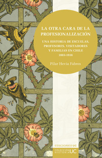 La otra cara de la profesionalización - Pilar Hevia Fabres - E-Book