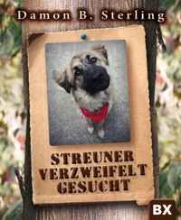 Streuner verzweifelt gesucht - Damon B. Sterling - E-Book