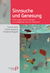 Sinnsuche und Genesung - Kristin Klapheck - E-Book