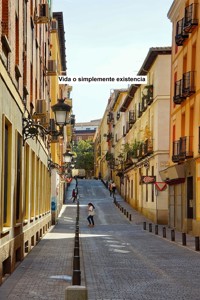 Vida o simplemente existencia - Eduard Wagner - E-Book