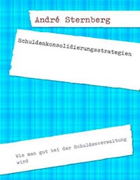 Schuldenkonsolidierungsstrategien - Andre Sternberg - E-Book