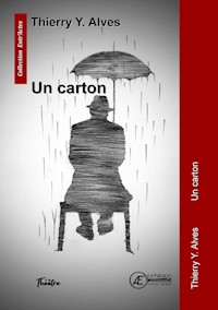 Un carton - Thierry Y. Alves - E-Book