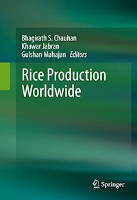 Rice Production Worldwide -  - E-Book
