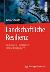 Landschaftliche Resilienz - Catrin Schmidt - E-Book