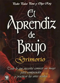 El aprendiz de brujo - Pedro Palao Pons - E-Book