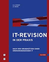 IT-Revision in der Praxis - Klaus Schmidt - E-Book