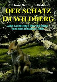 DER SCHATZ IM WILDBERG - Erhard Schümmelfeder - E-Book