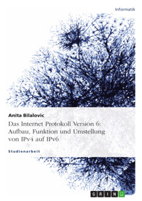 Das Internet Protokoll Version 6: Aufbau, Funktion und Umstellung von IPv4 auf IPv6 - Anita Bilalovic - E-Book