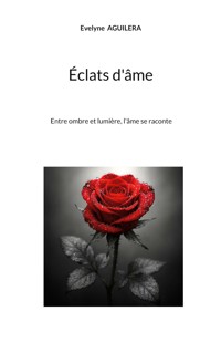 Éclats d'âme - Evelyne Aguilera - E-Book