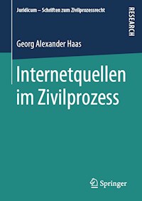 Internetquellen im Zivilprozess - Georg Alexander Haas - E-Book