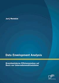 Data Envelopment Analysis – Brancheninterne Effizienzanalyse auf Basis von Unternehmensbilanzdaten - Jurij Weinblat - E-Book