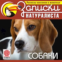 Собаки - Д. Огл - Hörbuch