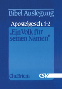 Ein Volk für seinen Namen - Christian Briem - E-Book