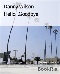Hello...Goodbye - Danny Wilson - E-Book