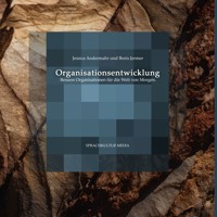 Organisationsentwicklung - Jessica Andermahr - E-Book