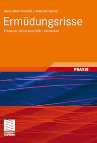 Ermüdungsrisse - Hans Albert Richard - E-Book