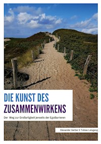 Die Kunst des Zusammenwirkens - Tobias Leisgang - E-Book