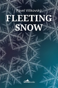 Fleeting Snow - Pavel Vilikovský - E-Book