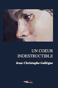 Un coeur indestructible - Jean-Christophe Galiègue - E-Book