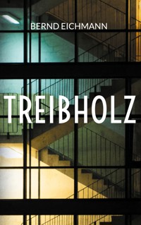 Treibholz - Bernd Eichmann - E-Book
