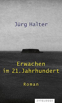 Erwachen im 21. Jahrhundert - Jürg Halter - E-Book