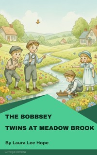 The Bobbsey Twins at Meadow Brook - Laura Lee Hope - E-Book