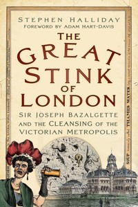 The Great Stink of London - Stephen Halliday - E-Book