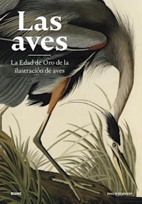 Las aves - Philip Kennedy - E-Book