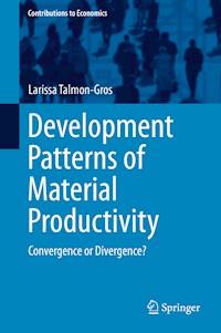 Development Patterns of Material Productivity - Larissa Talmon-Gros - E-Book