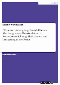 Effizienzerhöhung in geburtshilflichen Abteilungen von Krankenhäusern: Konzeptentwicklung, Maßnahmen und Umsetzung in die Praxis - Kerstin Wöhlbrandt - E-Book