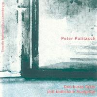 Drei kurze Texte (mit tödlichem Ausgang) - Peter Palizsch - Hörbuch