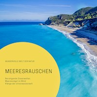 Meeresrauschen: Beruhigende Ozeanwellen, Meeresvögel im Wind, Klänge der Unterwasserwelt - Patrick Lynen - Hörbuch