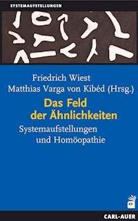Das Feld der Ähnlichkeiten -  - E-Book