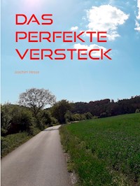 Das perfekte Versteck - Joachim Hesse - E-Book