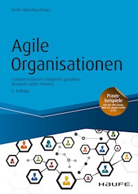 Agile Organisationen -  - E-Book
