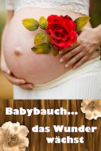 Babybauch...das Wunder wächst - Laura Paulsen - E-Book