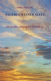 Tagebuch einer Seele - Nora Seelig - E-Book