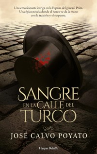 Sangre en la calle del Turco - José Calvo Poyato - E-Book
